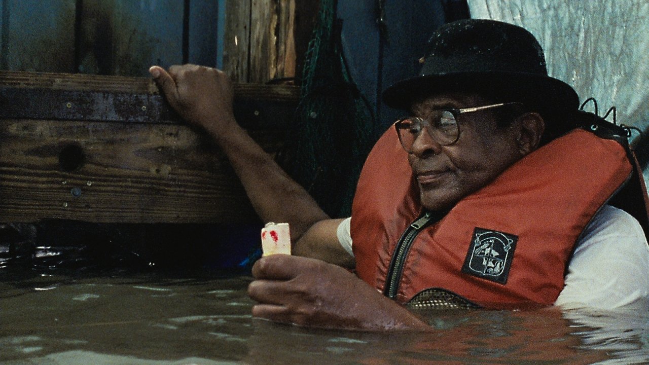 Photo du film Les bêtes du sud sauvage