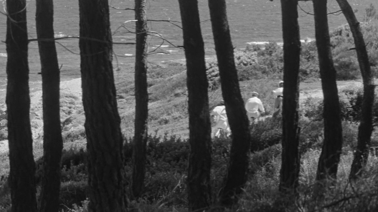 Photo du film Jules et Jim