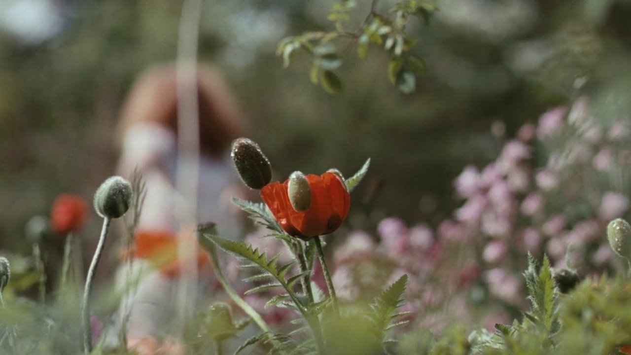 Photo du film Bright Star