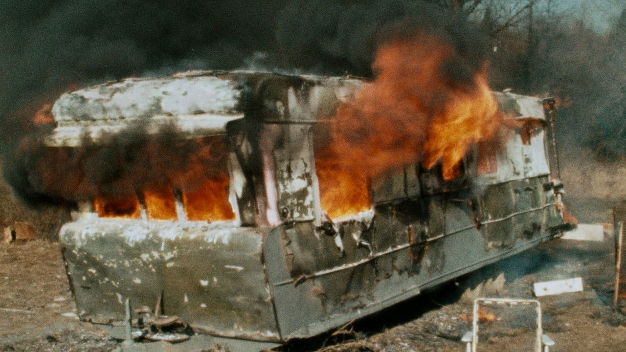 Photo du film Pink Flamingos