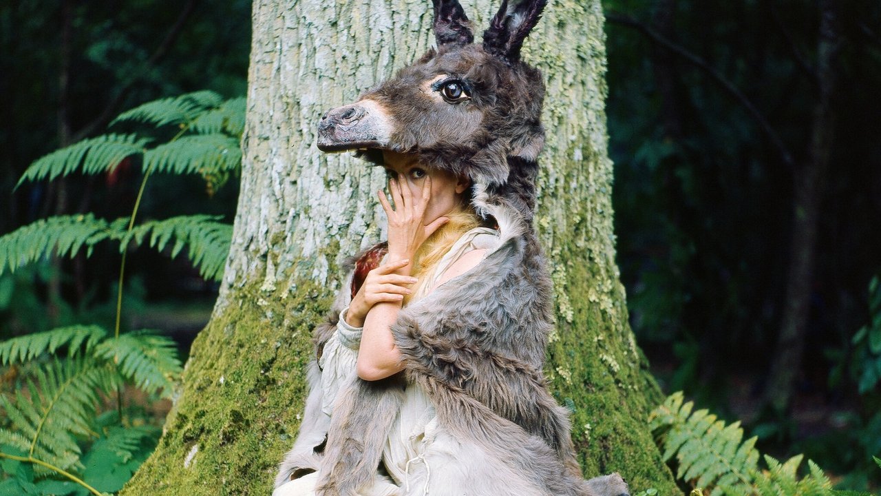 Photo du film Peau d'âne