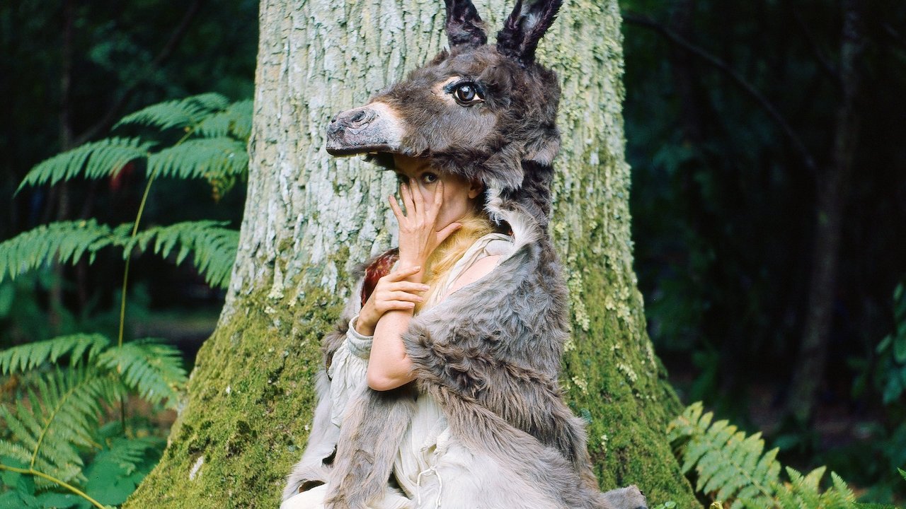 Photo du film Peau d'âne