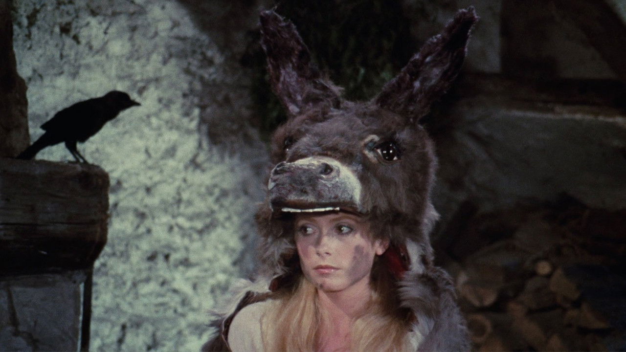 Photo du film Peau d'âne