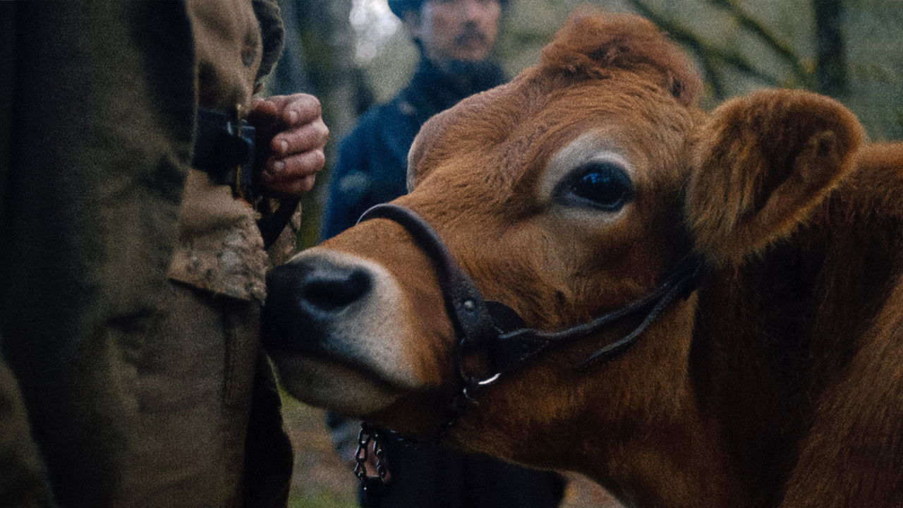 Photo du film First Cow