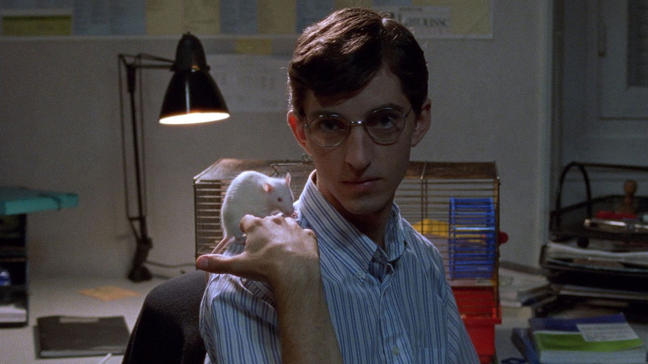 Photo du film Sitcom