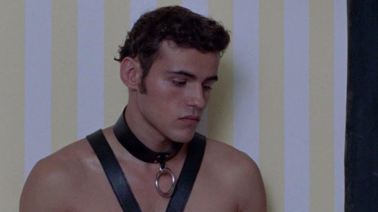 Photo du film Sitcom