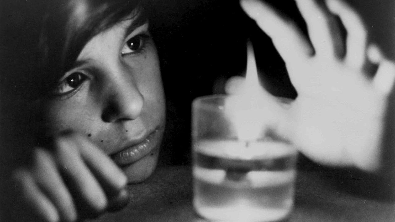 Photo du film L'Enfant sauvage