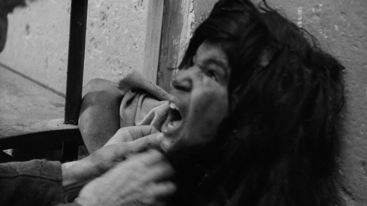 Photo du film L'Enfant sauvage