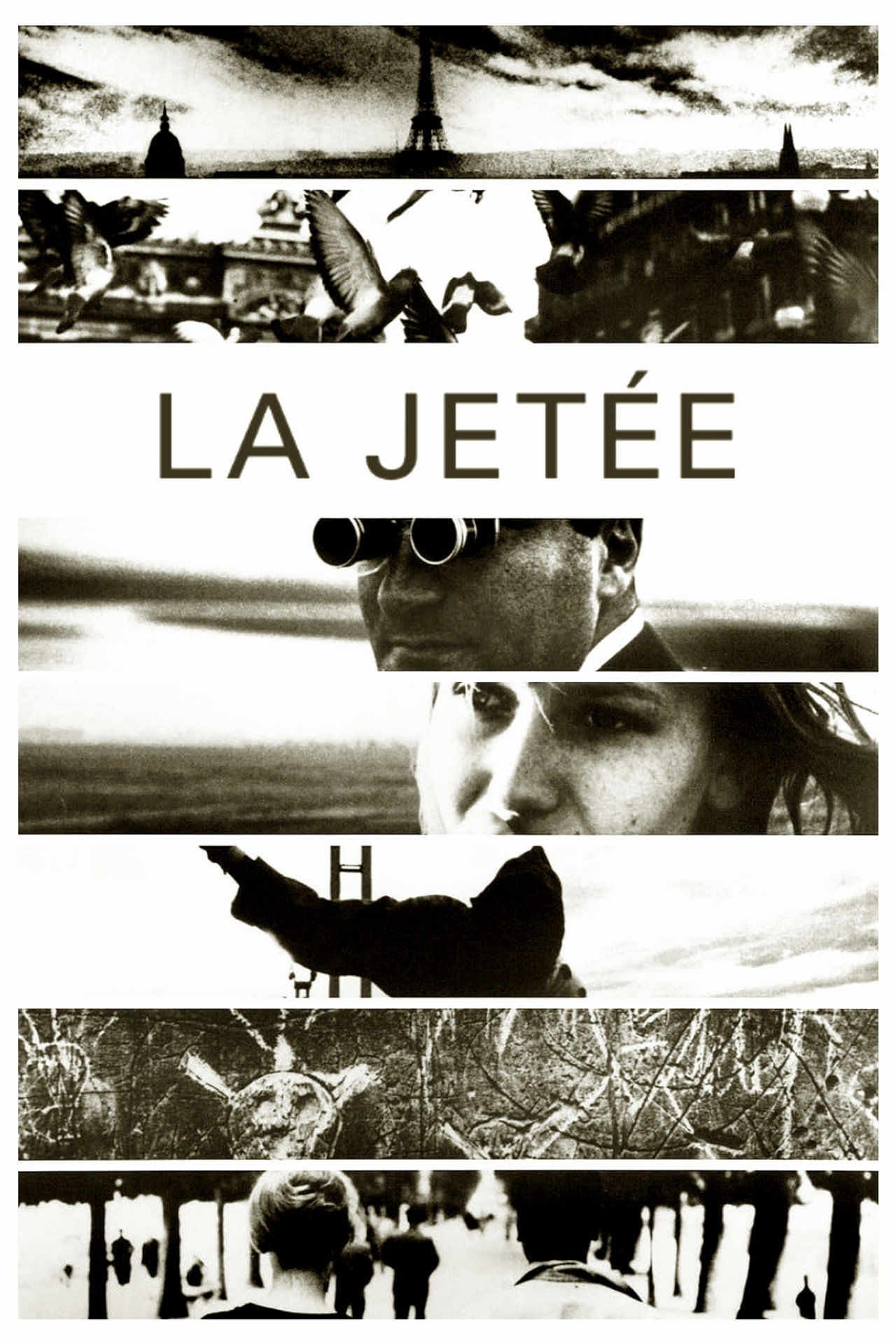 Affiche du film 