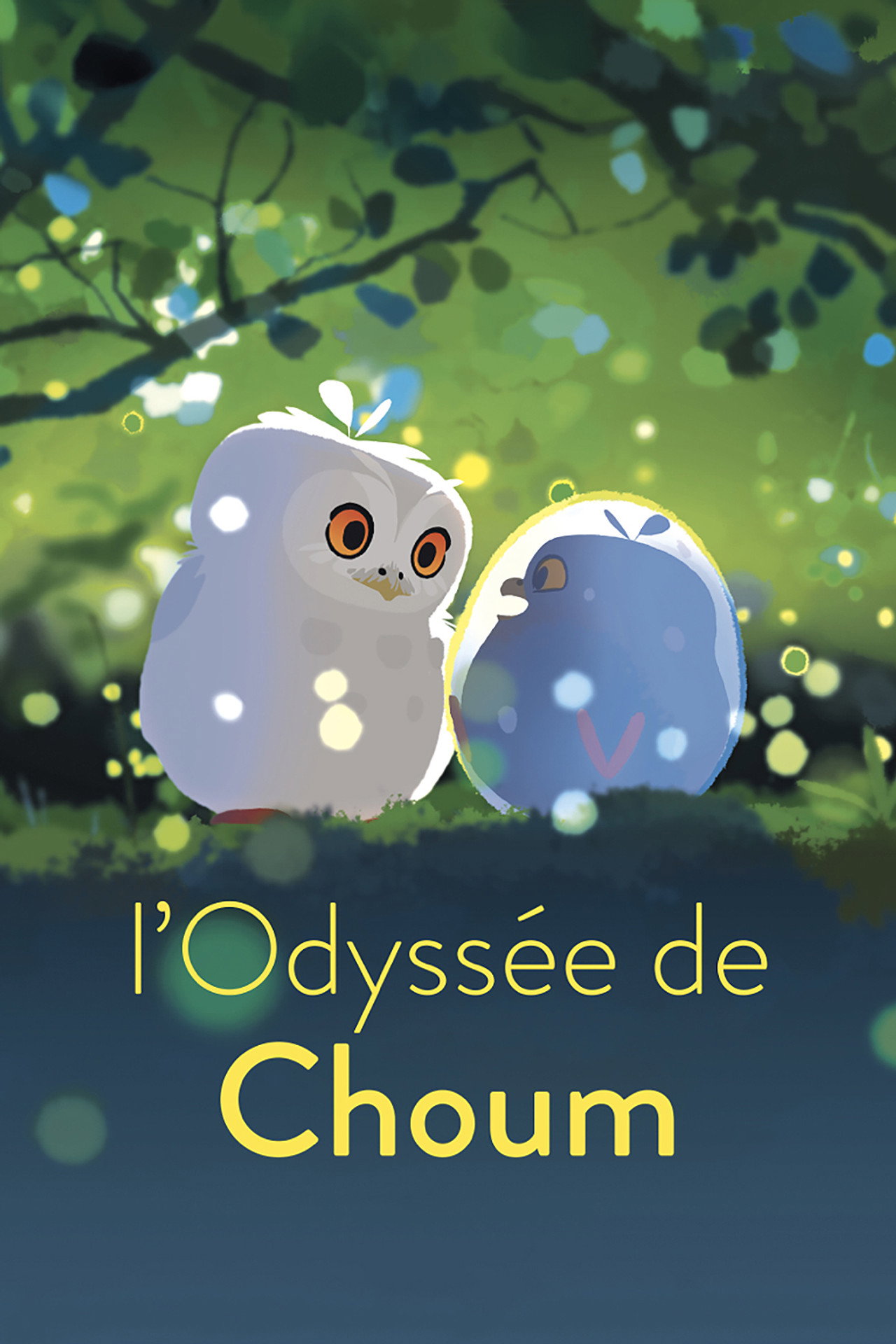 Affiche du film 