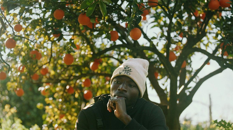 Photo du film The Pickers